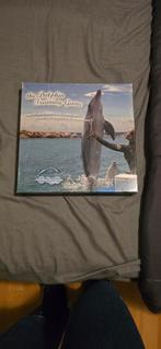 The Dolphin Training Game - Bordspel, Een of twee spelers, Ophalen of Verzenden, Gebruikt, Dolphin Academy
