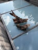 Kienhout voor Aquarium, Dieren en Toebehoren, Vissen | Aquaria en Toebehoren, Ophalen of Verzenden, Zo goed als nieuw, Plant(en), Steen of Hout