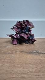 Aquarium decoratie koraal, Dieren en Toebehoren, Ophalen of Verzenden, Sierelement