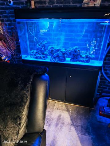 Aquarium compleet met 4 Malawi vissen  beschikbaar voor biedingen