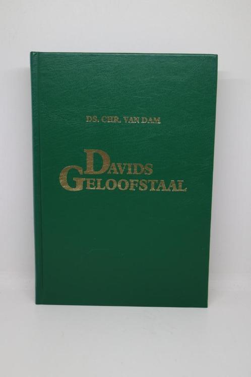 Davids geloofstaal - Chr. van Dam, Boeken, Godsdienst en Theologie, Zo goed als nieuw, Ophalen of Verzenden