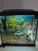 Aquarium 30x30x20 met alle toebehoren en 20 guppen, Ophalen of Verzenden, Gebruikt, Gevuld zoetwateraquarium