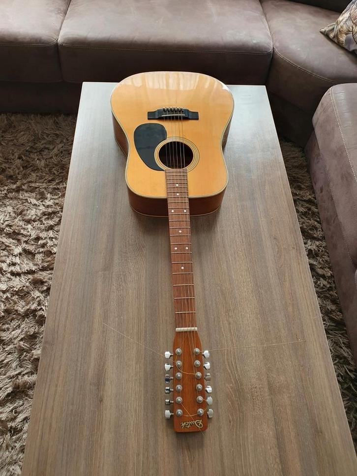 Dutch TI20 12-snarige akoestische gitaar, Muziek en Instrumenten, Snaarinstrumenten | Gitaren | Akoestisch, Gebruikt, Western- of Steelstringgitaar