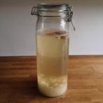 Gratis waterkefir korrels afhalen, Ophalen