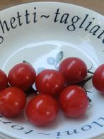 Pasta borden - diepe borden, Huis en Inrichting, Ophalen of Verzenden, Zo goed als nieuw, Bord(en), Overige stijlen