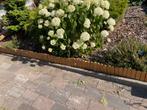 Border rol border hout, Tuin en Terras, Bielzen en Borders, Ophalen, Hout