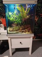 Aquatlantis aquarium., Ophalen of Verzenden, Zo goed als nieuw, Gevuld zoetwateraquarium
