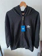 Balenciaga x adidas zipup hoodie, Kleding | Heren, Truien en Vesten, Ophalen of Verzenden, Zo goed als nieuw, Zwart