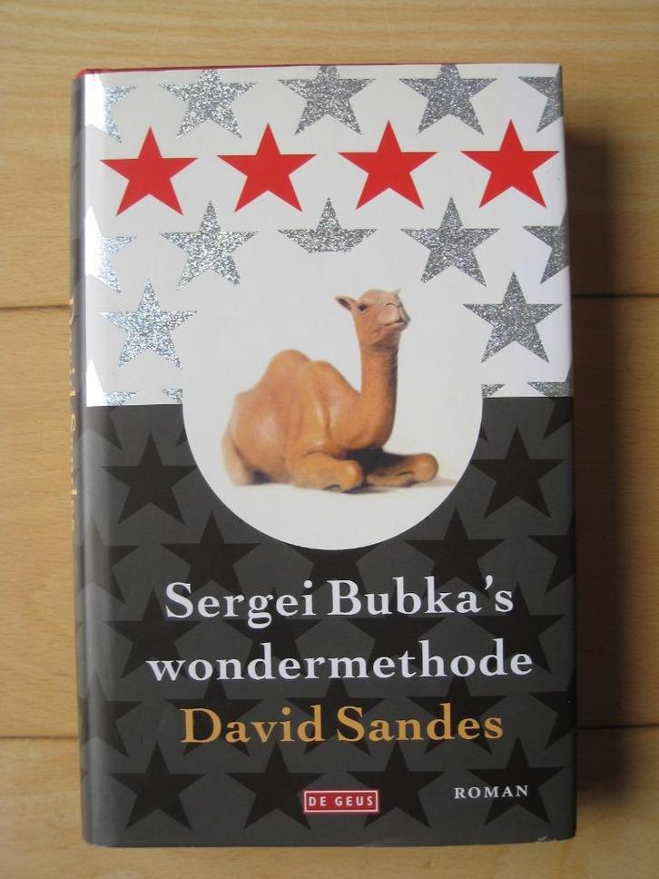 David Sandes - Sergei Bubka’s wondermethode, Boeken, Literatuur, Zo goed als nieuw, Nederland, Ophalen of Verzenden