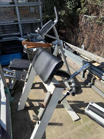 Preacher curl bankje beschikbaar voor biedingen