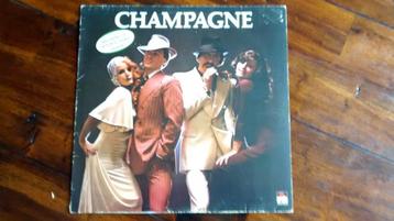 LP - Champagne - Champagne beschikbaar voor biedingen