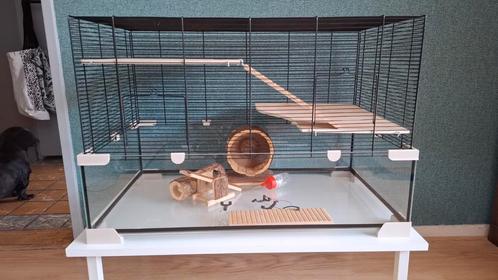 Knaagdieren verblijf, Dieren en Toebehoren, Knaagdieren en Konijnen | Hokken en Kooien, Gebruikt, Hok, Minder dan 60 cm, Minder dan 75 cm