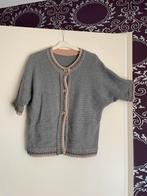 Grijsvest met vlindermouw en glansdraad rondom maat 38 boord, Kleding | Dames, Truien en Vesten, Maat 38/40 (M), Didi, Ophalen of Verzenden