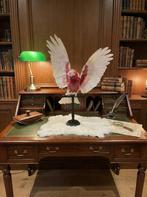 Opgezette Roze Kaketoe op Voet - Prachtig Decoratieobject, Ophalen of Verzenden