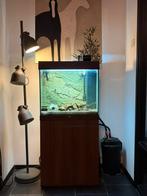 120L Juwel aquarium + Fluval 407 – Veel gratis extra’s, Dieren en Toebehoren, Ophalen, Zo goed als nieuw, Verlichting of Verwarming