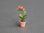 Flamingo plant ( strelitzia ), Ophalen of Verzenden, Gebruiksvoorwerp