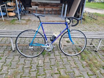 Koga Miyata  wielrenfiets Gentsracer (kleur blauw/paars) beschikbaar voor biedingen