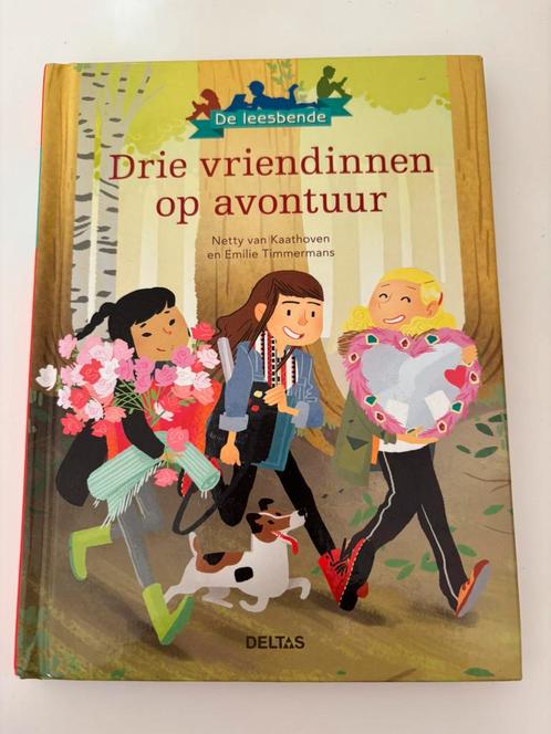 Netty van Kaathoven - Drie vriendinnen op avontuur, Boeken, Kinderboeken | Jeugd | onder 10 jaar, Nieuw, Non-fictie, Verzenden