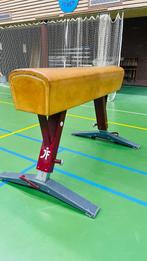 Janssen en Fritsen Voltigepaard Wedstrijd, Maat 36 t/m 42, Ophalen, Zo goed als nieuw, Materiaal