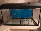 Aquarium, Dieren en Toebehoren, Vissen | Aquaria en Toebehoren, Ophalen, Gebruikt, Leeg aquarium