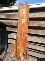 Gratis haardhout., Minder dan 3 m³, Ophalen, Overige houtsoorten, Stammen