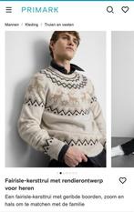 GEZOCHT - PRIMARK ZWOLLE: fairisle kersttrui heren (L), Kleding | Heren, Ophalen of Verzenden, Zo goed als nieuw, Blauw