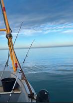 Fuiken vis sloep 8m - VM Diesel - 500 Draaiuren - polyester, Watersport en Boten, Motorboten en Motorjachten, Ophalen, Gebruikt