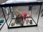 Aquarium 39 liter met accessoires zgan, Dieren en Toebehoren, Vissen | Aquaria en Toebehoren, Ophalen, Zo goed als nieuw, Leeg aquarium