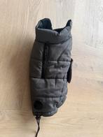 By lotte honden jas (maat 24, Dieren en Toebehoren, Ophalen of Verzenden, Zo goed als nieuw, Hondenjas