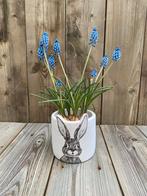 Bloempot konijn pasen, Ophalen of Verzenden, Nieuw