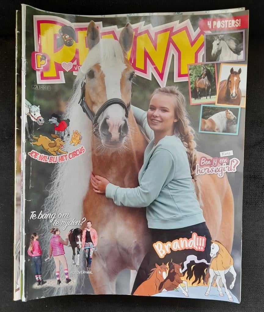 Penny complete jaargang 2018, Ophalen of Verzenden, Gelezen, Overige typen