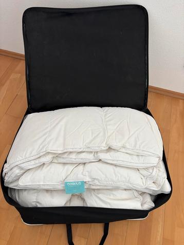 Dixxius Donzen Dekbed 260x220 beschikbaar voor biedingen