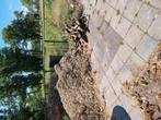 Gratis snippers en eiken hout, Ophalen, Overige materialen, Gebruikt, Bruin