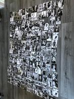 315 stuks oude ansichtkaarten koninklijke familie zie info, 1940 tot 1960, Zuid-Holland, Ophalen of Verzenden