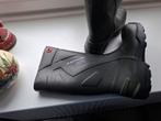 Heren regen laarzen  Dunlop, Ophalen of Verzenden, Zo goed als nieuw, Overige kleuren, Boots