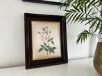 Vintage zijdenprint lijstje, Ophalen of Verzenden, Zo goed als nieuw, Hout, Minder dan 50 cm