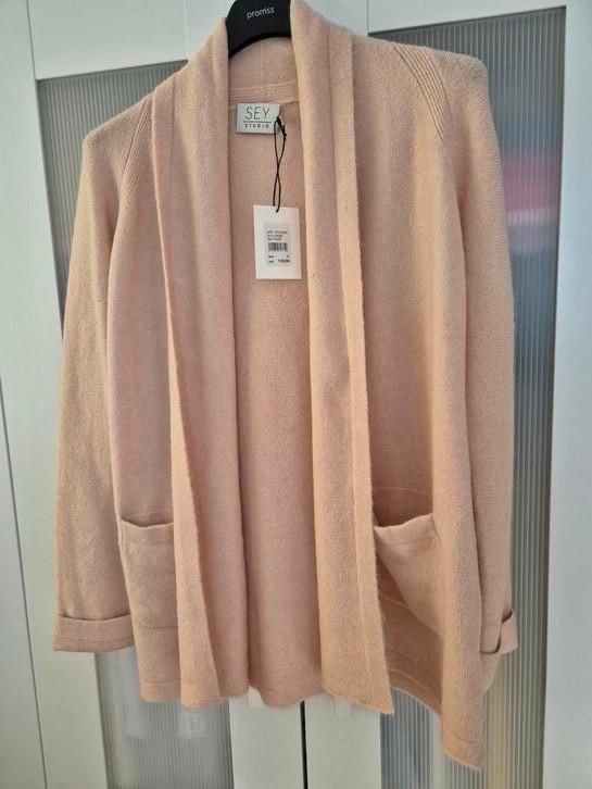 Roze vest van SEY STUDIO, Kleding | Dames, Truien en Vesten, Nieuw, Roze, Ophalen of Verzenden