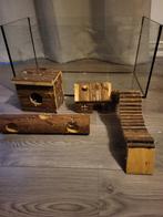 Hamster terrarium, 75 tot 110 cm, Ophalen, Minder dan 60 cm, Hok