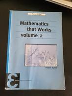 Mathematics that Works, Volume 2 (Analysis Applied), Ophalen of Verzenden, Zo goed als nieuw, Maarten de Gee, Natuurwetenschap