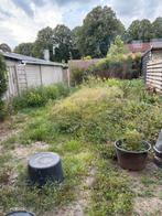 Wildplukken gratis, Boeken, Ophalen