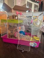 Prima hamsterkooi, wel gebruikssporen, Dieren en Toebehoren, Kooi, Gebruikt, Minder dan 75 cm, Hamster