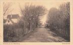 JL108 IJmuiden Hoflaan in de Breesaap 1920, Verzenden, Voor 1920, Gelopen, Noord-Holland