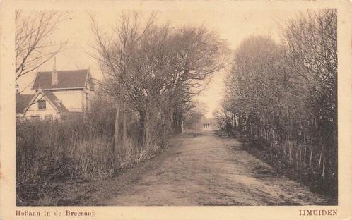 JL108 IJmuiden Hoflaan in de Breesaap 1920, Verzamelen, Ansichtkaarten | Nederland, Gelopen, Noord-Holland, Voor 1920, Verzenden