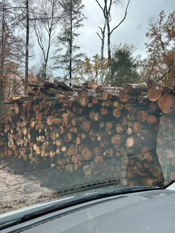 Stamhout brandhout rondhout Kersen incl levering beschikbaar voor biedingen
