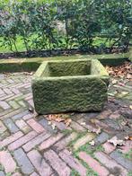 Bentheimer bloembak vierkant 60x60 x30, Tuin en Terras, Vierkant, Nieuw, Ophalen of Verzenden, Hout