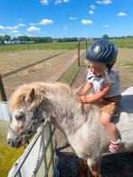Mooie shetlander schimmel!!, Dieren en Toebehoren, Pony's, Merrie, Recreatiepony