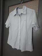 Tommy Hilfiger Lichtblauw  Blouse, Blauw, Ophalen of Verzenden, Korte mouw, Gedragen