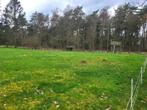Weide te koop te Achel, 4000m² prachtig gelegen, Dieren en Toebehoren, Stalling en Weidegang, 2 of 3 paarden of pony's