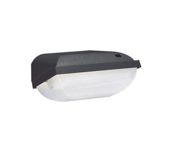 Philips buitenlamp FWC110 met licht/donker sensor beschikbaar voor biedingen