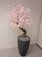 Exclusieve bloesemboom nieuw compleet, Huis en Inrichting, Ophalen, Nieuw